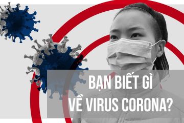 Hoang mang vì virus corona nhưng bạn đã biết gì về chúng?