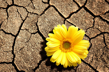 Hỏi và Đáp: Tư vấn toàn bộ về điều trị khô âm đạo, teo âm đạo