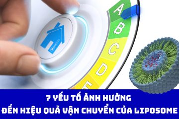 7 yếu tố ảnh hưởng đến hiệu quả vận chuyển của liposome